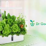 Dr. Goodrow Indoor Garden main image