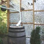 Rain water will be collected in this old wine barrel that Burton found (photo by Cameron Sheppard)