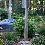 Video surveillance of the suspect. Courtesy of Redmond Police Department.