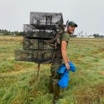 Ron Coleman from WDFW deploys Green Crab traps on the Washington Coast. Photo courtesy of Chase Gunnell.
