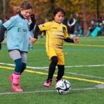 Children playing soccer at Petrovitsky Park in Renton. COURTESY PHOTO, King County Parks