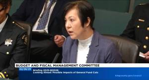 Screenshot
King County Prosecuting Attorney Leesa Manion testifying to the King County Council about budget cut impacts.