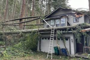 A house in Issaquah was damaged by fallen trees during Novembers bomb cyclone. (Courtesy of King County Councilmember Sarah Perrys office)