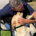 A veteran and his dog. John bonds with his Battle Buddy Honey. Photo courtesy of Northwest Battle Buddies