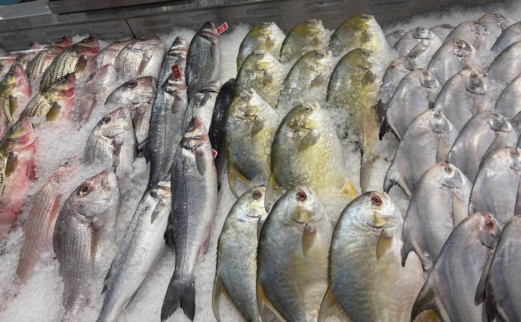 Seabass, Striped Bass, Branzino and more. Photo by Mindy Stern