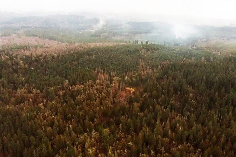 This is the piece of land in Cumberland that Segale Properties has proposed to turn into a 990-acre gravel mine. Photo courtesy Enumclaw Plateau Community Association