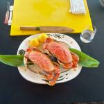 Two Dungeness crabs. Photo courtesy of Mindy Stern